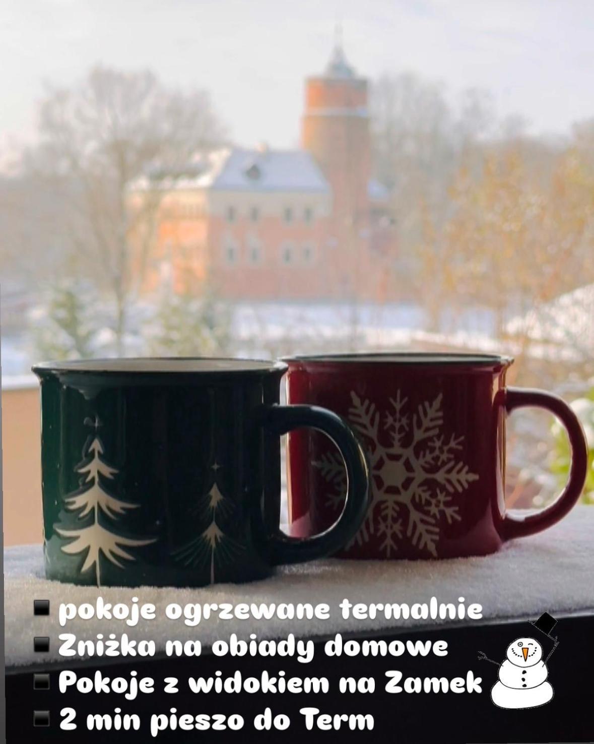 Pokoje Przy Bulwarach Uniejow Esterno foto